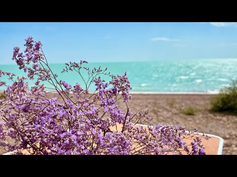 Видео: Балхаш, Шубар-Тубек. Чубар- Тюбек 2025г. Отдых дикарями. Кемпинг на Балхаше 