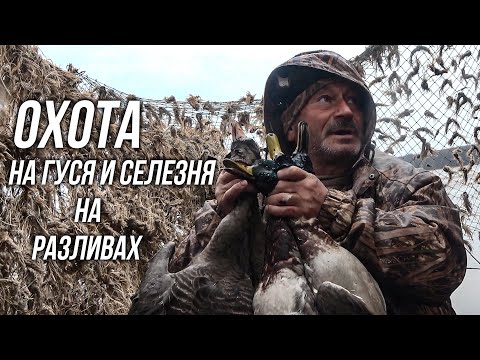 Видео: Охота  на гуся и селезня на разливах. Часть 3