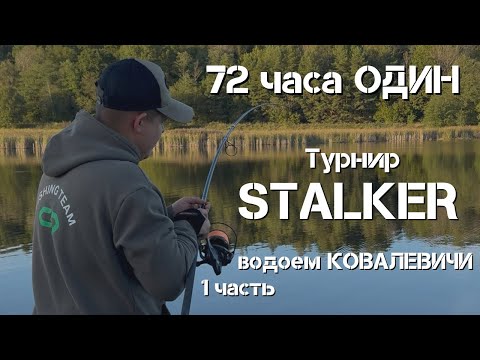 Видео: Испытание для ОДИНОЧКИ: Карпфишинг в формате STALKER на водоеме Ковалевичи | Часть 1