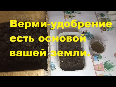 Видео: БН 15 Что такое биогумус, как приготовить верми чай? Урожай без химии.#Биогумус #вермичай