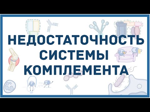 Видео: Недостаточность системы комплемента - патология иммунитета