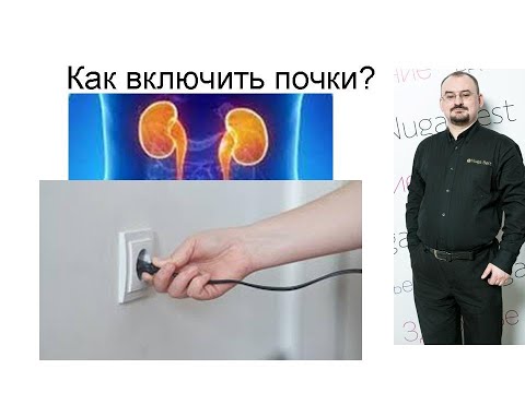 Видео: Как включить почки?
