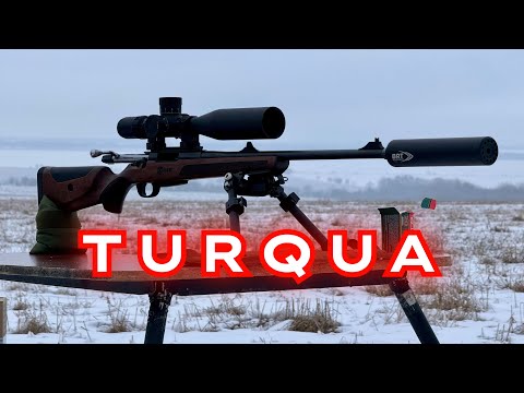 Видео: Тест 7 видов патронов для Turqua ATA Arms