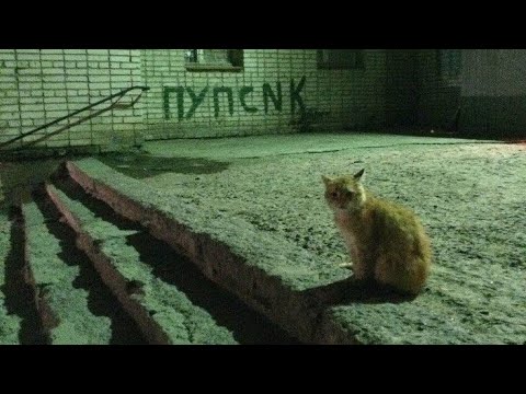Видео: v17 - а пока мне 16