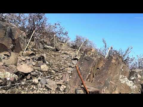 Видео: Кауги Қаратоу