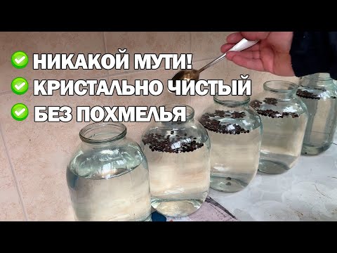Видео: БЕСПОХМЕЛЬНЫЙ САМОГОН🔥Инструкция от А до Я. + (Настой на можжевельнике)