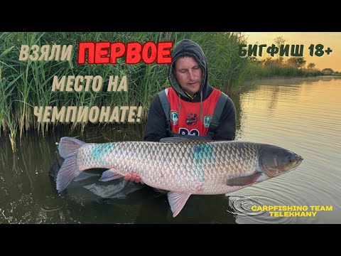 Видео: ЧЕМПИОНАТ РЕСПУБЛИКИ БЕЛАРУСЬ 2025! КАРПФИШИНГ. ВЗЯЛИ ПЕРВОЕ МЕСТО И БИГФИШ!