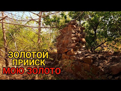 Видео: ЗОЛОТОЙ РУДНИК МОЮ ЗОЛОТО