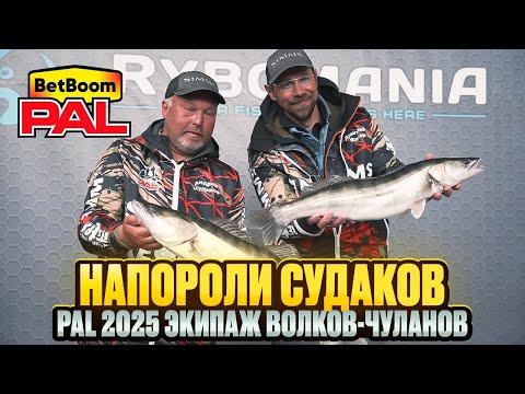 Видео: 2 тур 2 этап PAL 2025. Отыгрались по судаку!