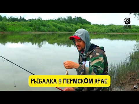 Видео: На реке Бабка и Ирень // Рыбалка в Пермском крае / Выпуск 10