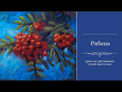 Видео: Рябина. Сухая пастель 