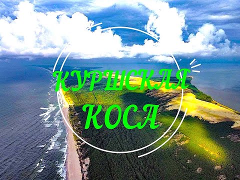 Видео: Отдых на Куршской Косе