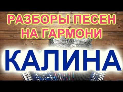 Видео: РАЗБОРЫ! Под гармонь!  Ой калина!