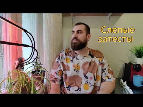 Видео: Лучший инжир и ядовитый плющ. Слепые затесты от Софии @sonechkasonechka