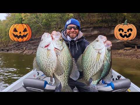 Видео: ЛОВЛЯ КРАППИ НА ХЭЛЛОУИН 2025!!!