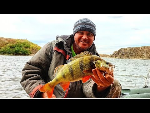 Видео: ВОТ ЭТО РЫБАЛКА ! ТАКОЕ У МЕНЯ ВПЕРВЫЕ ! 4 НОЧИ ОДИН НА БЕРЕГУ .