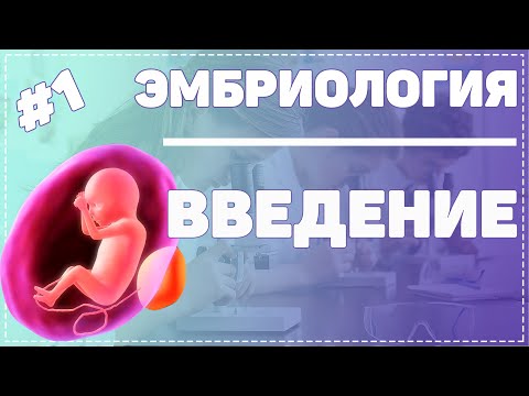 Видео: Эмбриология / Введение / ГИСТОЛОГИЯ ЧЕЛОВЕКА