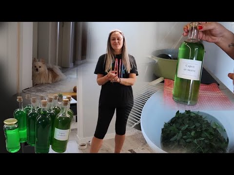 Видео: Сироп от мента 🌱🍹