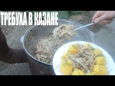 Видео: ТРЕБУХА(РУБЕЦ) В КАЗАНЕ НА СВЕЖЕМ ВОЗДУХЕ