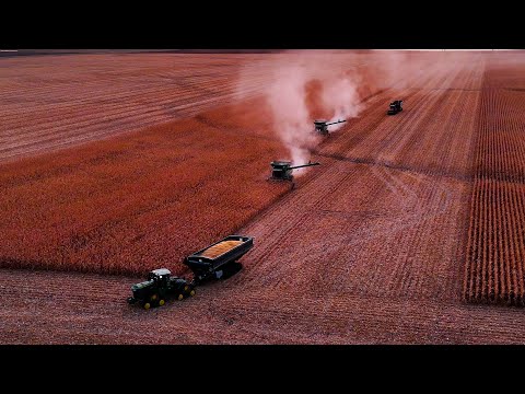 Видео: Мы нашли то, что искали! Эпизод 18