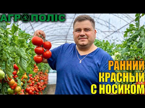 Видео: ARON F1 - ФЛАГМАН ОТ ENZA ZADEN