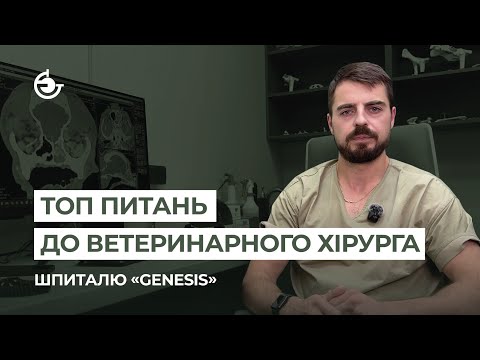 Видео: Топ питань до ветеринарного хірурга шпиталю «Genesis»
