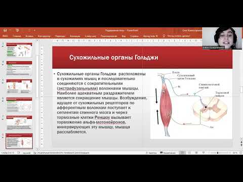 Видео: Мышечный тонус, статические и статокинетические рефлексы