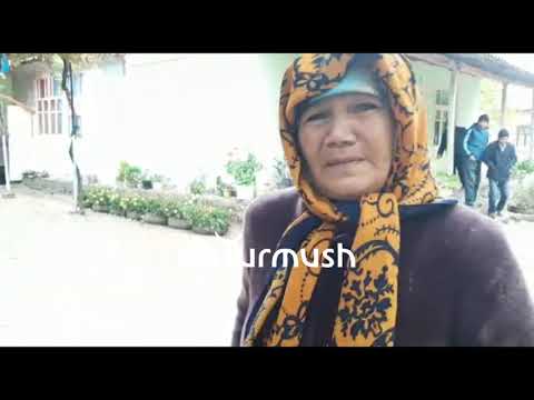 Видео: «Кара кийимчен адам кирип келди»: Кадамжайда өлтүрүлгөн ата-бала, аман калган апанын сөзү