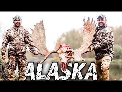Видео: Мечта или кошмар: охота на лося на Аляске