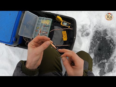 Видео: Рыбалка в новом 2025 г. // А рыба то есть?