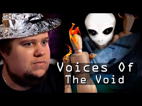 Видео: СНЯЛ НА КАМЕРУ ПРИШЕЛЬЦА - Voices Of The Void