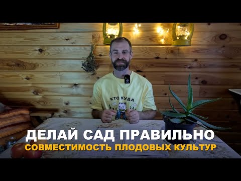 Видео: РАСТЕНИЯМ ВАЖНО ПРАВИЛЬНОЕ СОСЕДСТВО. Совместимость плодовых культур. Худшее и лучшее соседство.