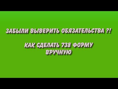 Видео: Как сделать 738 форму вручную правильно