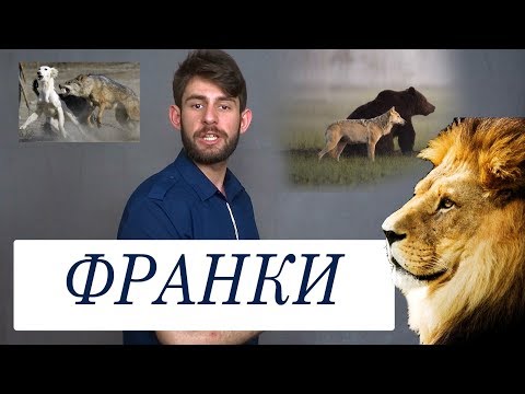 Видео: ФРАНКИ 1: the BEGINNING
