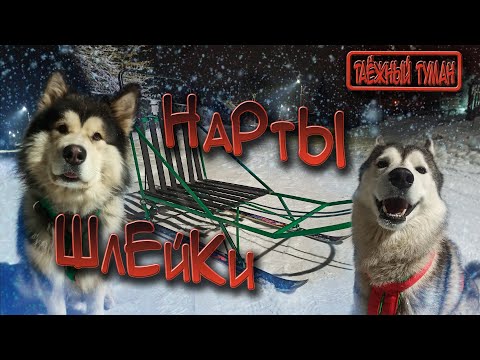 Видео: Обзор шлеек и нарт для ездовых собак | Самодельные нарты | Ездовые шлейки