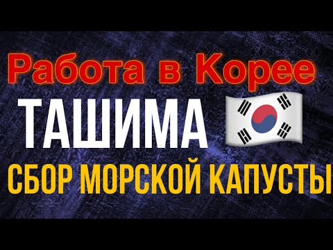 Видео: РАБОТА В КОРЕЕ. МОЯ ИСТОРИЯ. СБОР МОРСКОЙ КАПУСТЫ