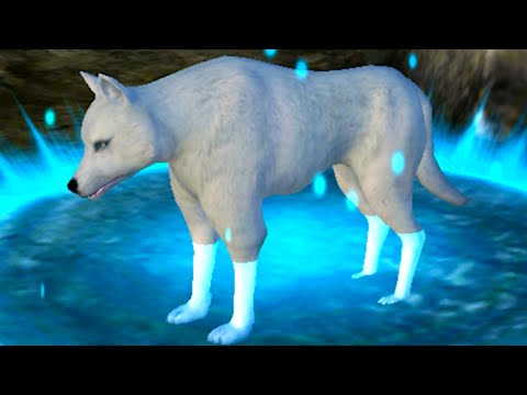 Видео: Симулятор ВОЛКА Эволюция Диких Животных #1 Волшебный волчонок Кид против зверей на пурумчата