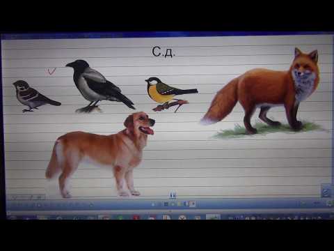 Видео: Русский язык 6 апреля