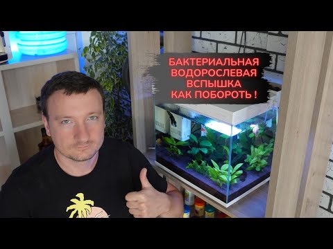 Видео: Мутная вода в аквариуме 100% РЕШЕНИЕ ! ! !