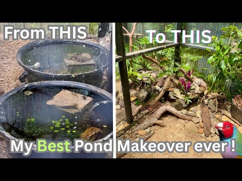 Видео: Грандиозное преображение пруда: объединение двух вольерных прудов в один шедевр!