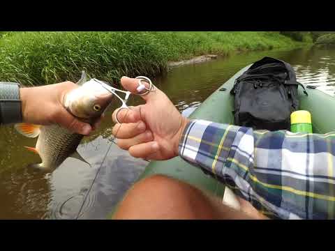 Видео: Ловля голавля сплавом. Сломал спиннинг.