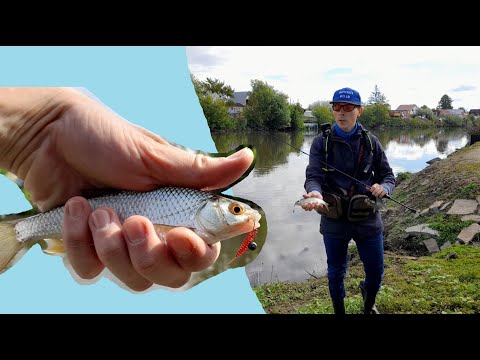 Видео: MEPPS AGLIA LONG ЛОВИТ РЫБУ БОЛЬШЕ, ЧЕМ МОРМЫШКА. Открыл летний сезон!