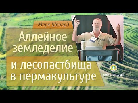 Видео: Аллейное земледелие и лесопастбища в пермакультуре! Марк Шепард