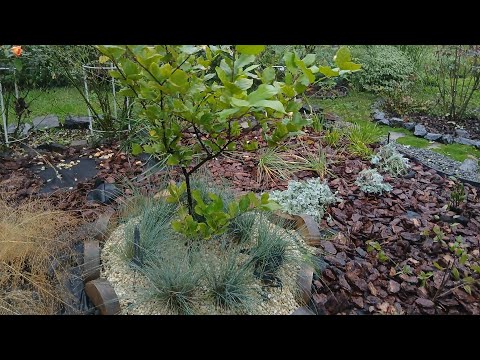 Видео: Новий квітник майже готовий#декоративнийсад