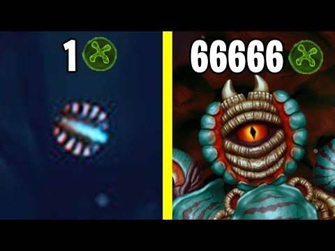 Видео: ЭВОЛЮЦИЯ МИКРОБОВ!