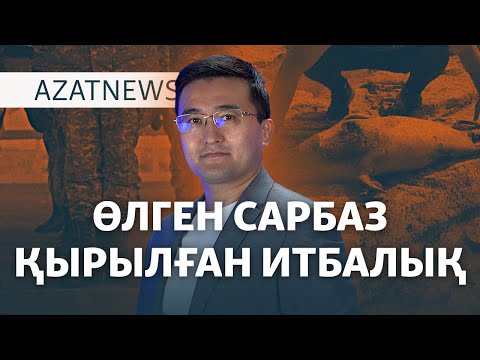 Видео: Сарбаздың қазасы, қырылған итбалық, санкцияға ілінген компаниялар – AzatNEWS | 08.11.2024