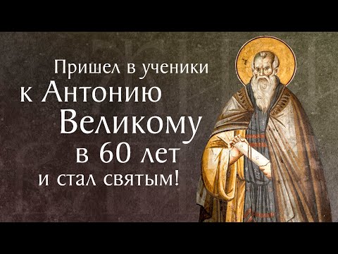 Видео: Житие преподобного Павла Препростого. Память 20 марта