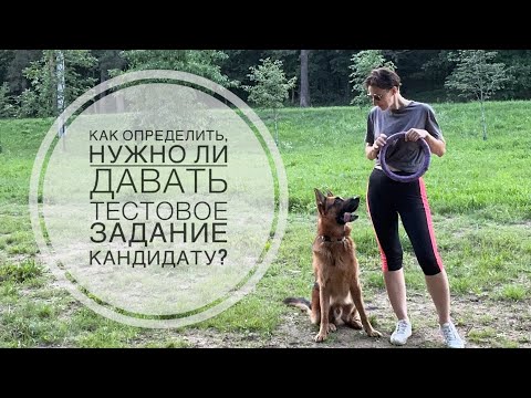 Видео: Как определить, нужно ли давать тестовое задание кандидату?