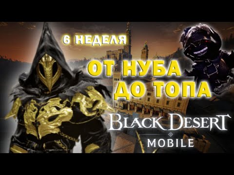 Видео: [Black Desert Mobile] Дневник: Chiki.Po / Шестая неделя / От нуба до топа