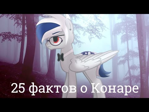 Видео: ♡‿♡ 25 фактов о Конаре ♡‿♡
